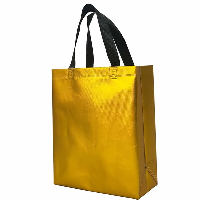 PP Laminated Shopping Non Woven Bag