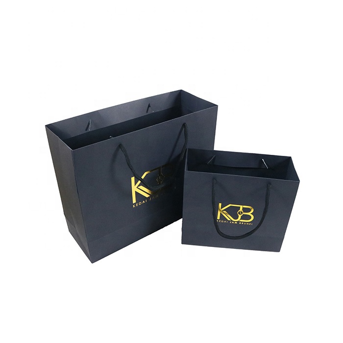 Get Customized Paper Carry Bags Manufacturer & Supplier at Wholesale Price In Delhi. 