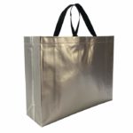 Laminated Non Woven Bag
