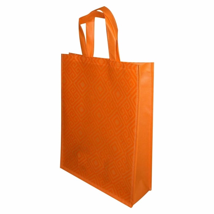 Hot Sale Laminated PP Non Woven Shopping Carry Bag Take out Bag Non Woven Bags  Bulk  China Non Woven Bags and Non Woven Fabric for Shoe Bag price   MadeinChinacom