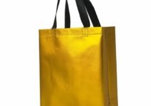 PP Laminated Shopping Non Woven Bag