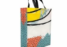 Shopping Non Woven Bag