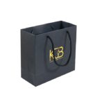 Paper Carry Bags Manufacturer & Supplier In Delhi